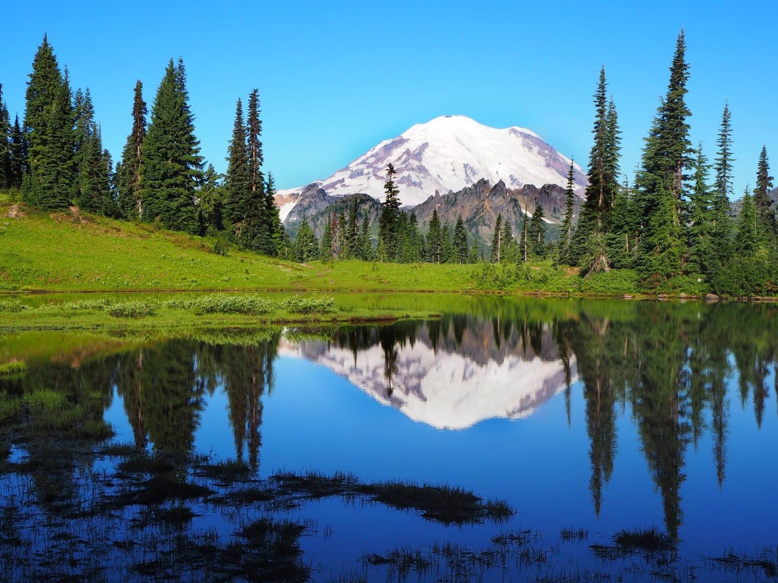 Snow-covered Mount Rainier reflected in a still alpine lake, framed by tall evergreens and a green meadow
