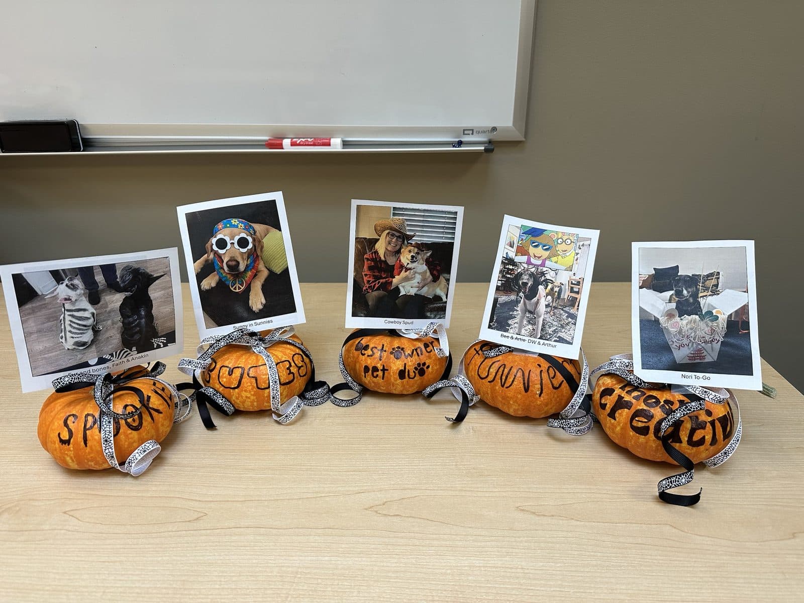 Five small pumpkins labeled spookiest, cutest, best owner pet duo, funniest and most creative, each holding a photo of a pet in costume