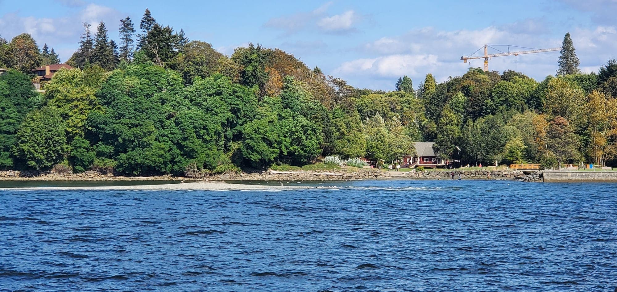 The wooded shoreline at Des Moines Beach Park across blue water