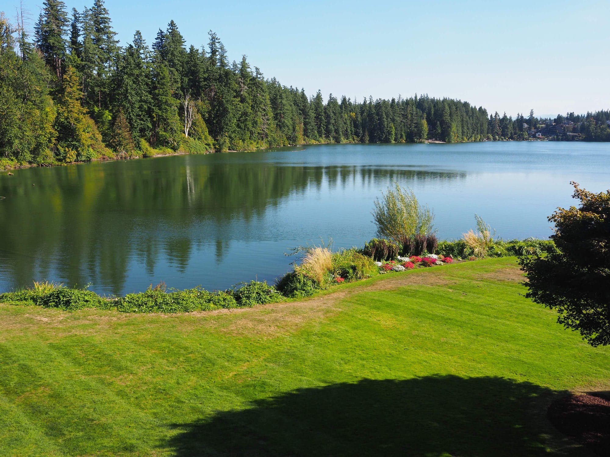 A calm lake ringed by evergreen trees, seen from a sunny lawn